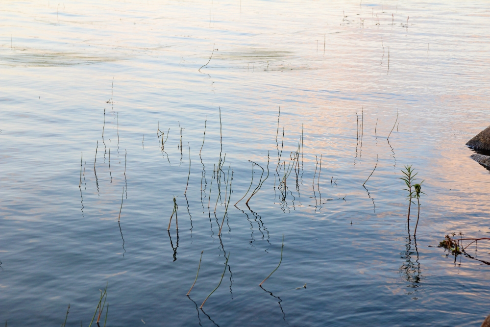 järvivesi