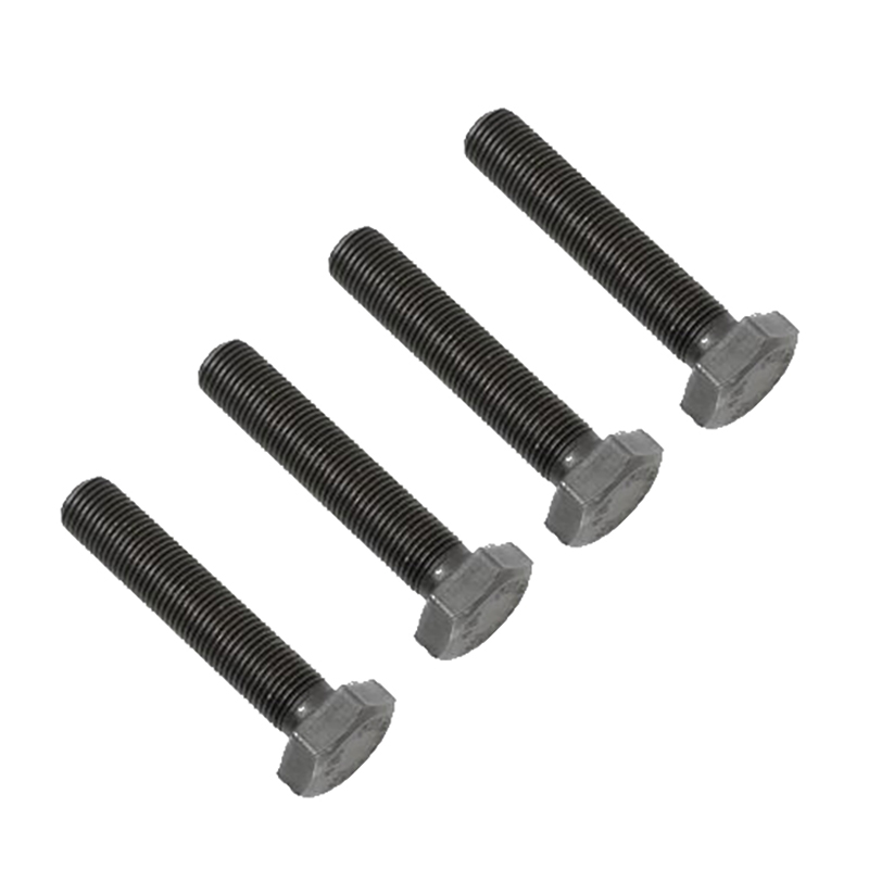 AQVA XL and L mounting bracket screws, 4pcs.  SS